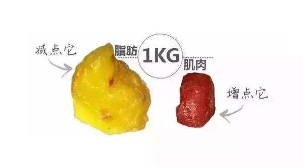 紧致蝴蝶臂的最快方法,紧致蝴蝶臂