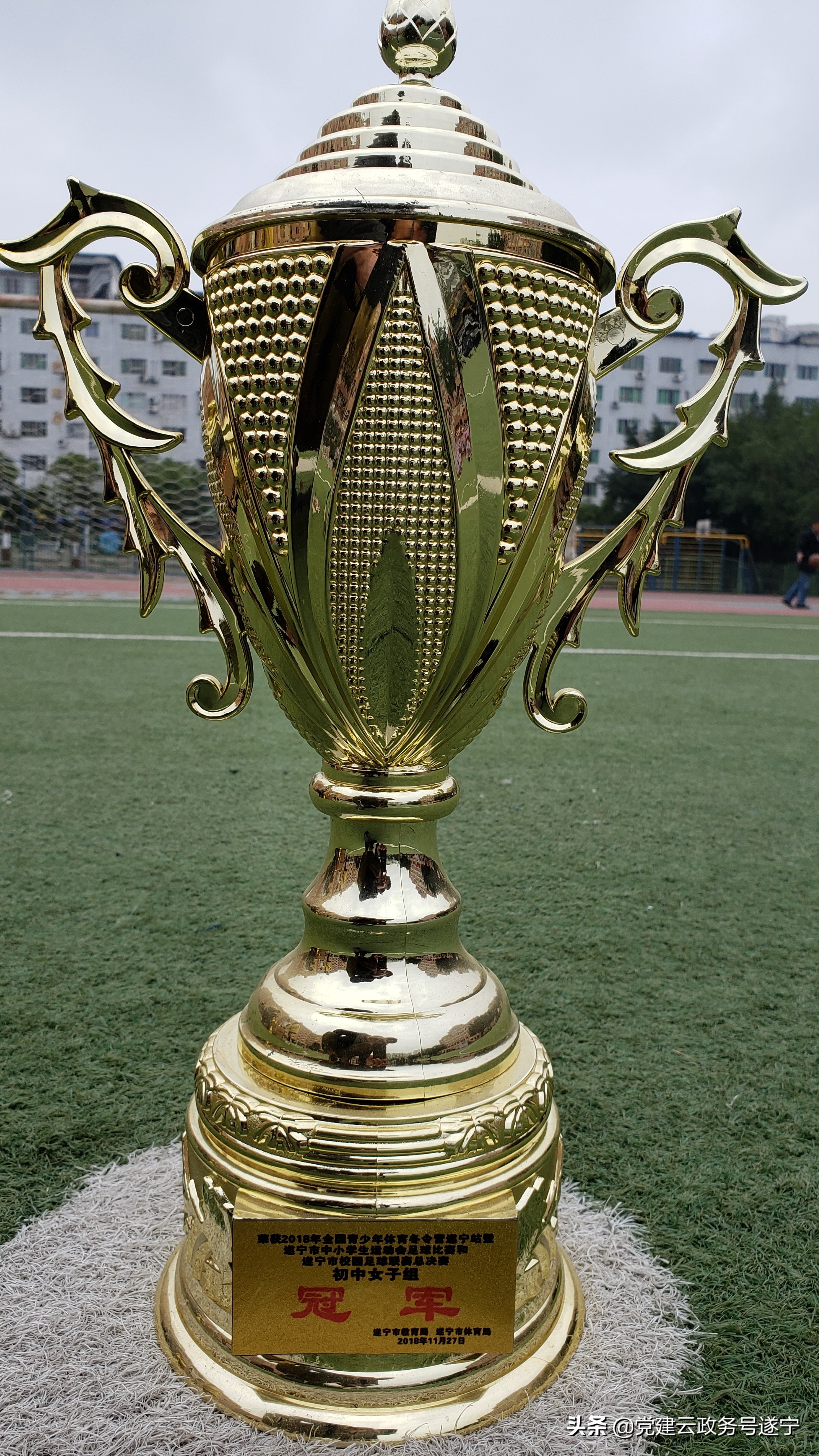 绿茵放飞梦想,足球绿茵放飞梦想