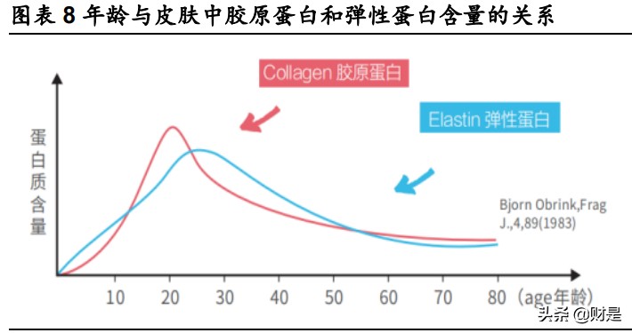 胶原蛋白市场分析,胶原蛋白的深入研发