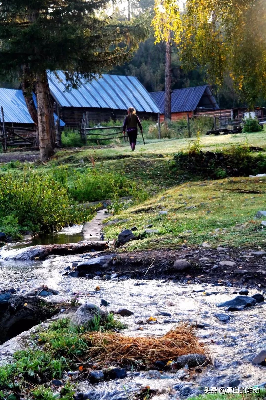 都说新疆好去新疆发展可靠么,都说新疆好地方