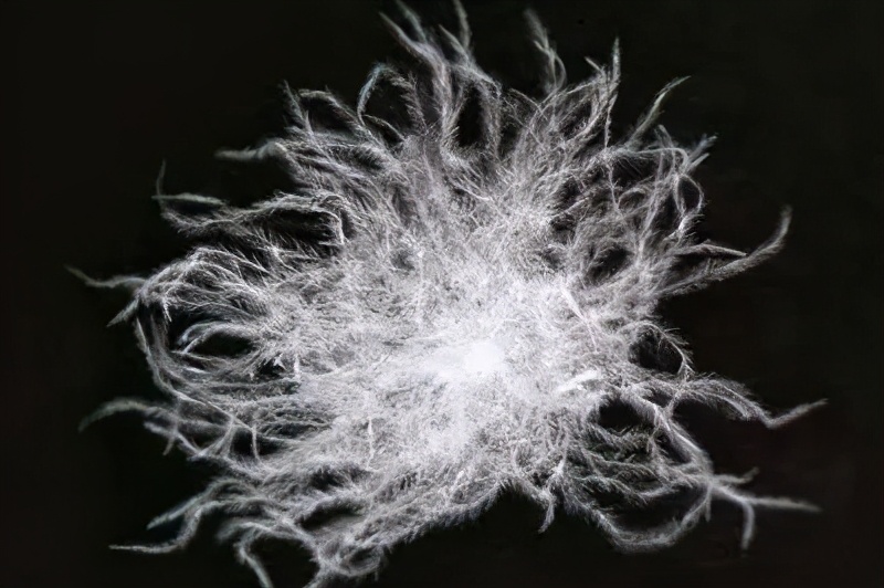 鹅绒被蚕丝被羊毛被大豆被,鹅绒被鸭绒被