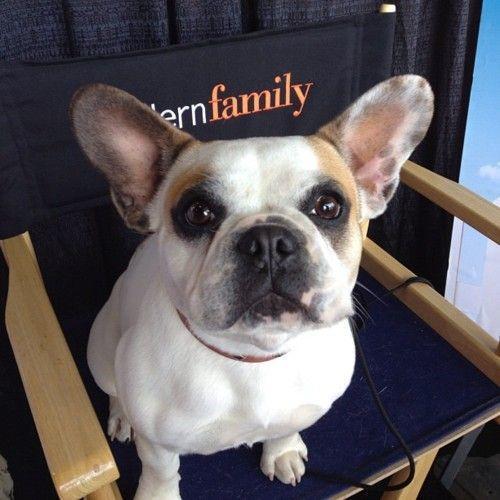 11季完结美剧,一口气看完系列高分美剧全集