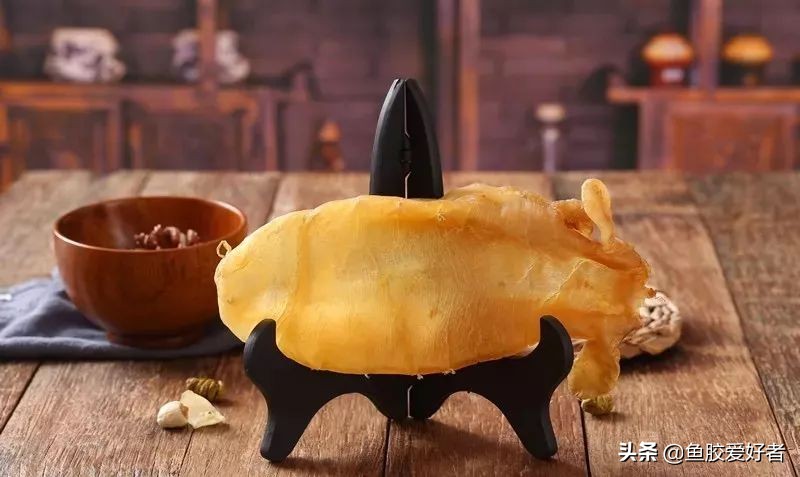 花胶最全面知识,鱼胶的100个基础知识