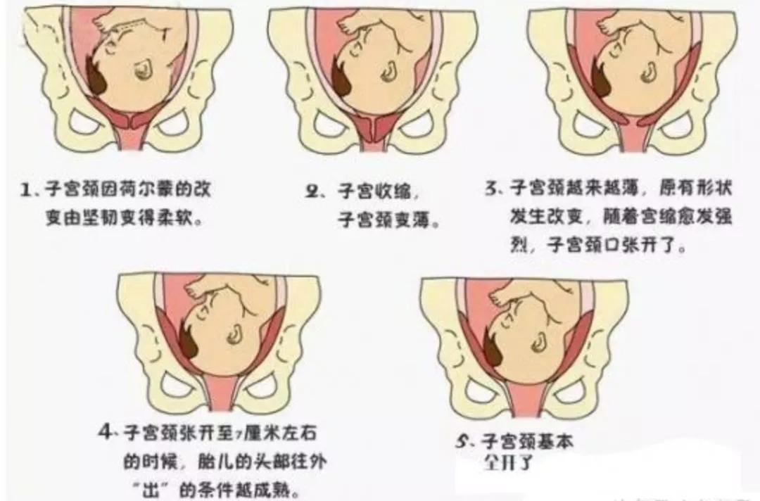 孕晚期有哪些症状宝宝危险,孕晚期出现哪些症状需要小心