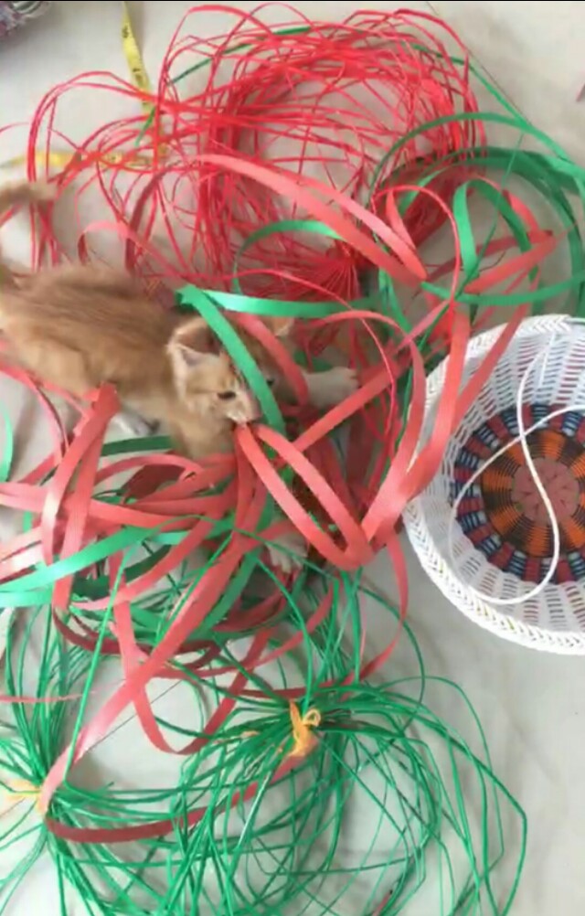 编筐图文,编筐立体花形教程