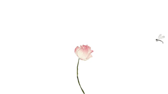 中庸之道过犹不及什么意思,友说国学116集