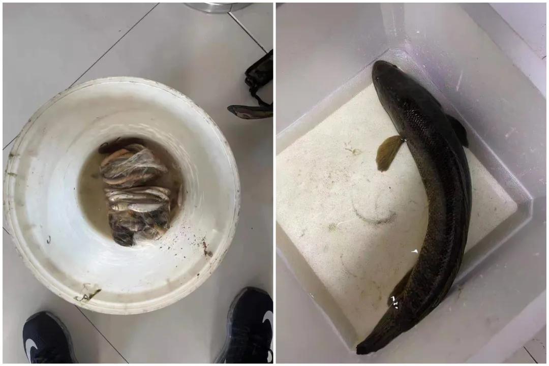 还敢做这事?萧山14人被抓!