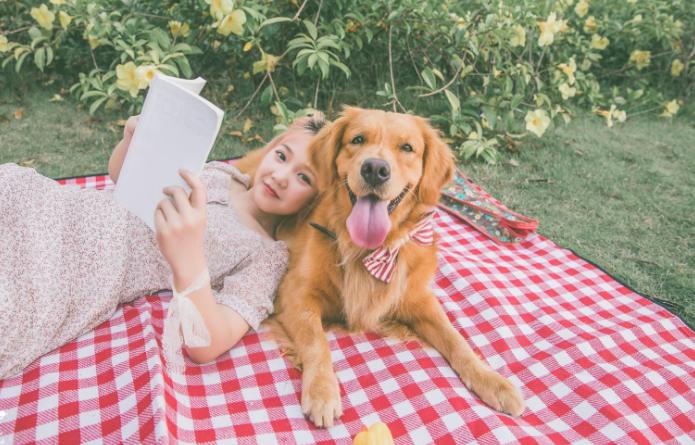 饲养宠物狗易出现的几大误区,宠物狗饲养方法和注意事项