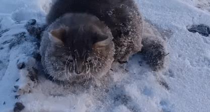 派派最新爆料,派派最新最真实报道