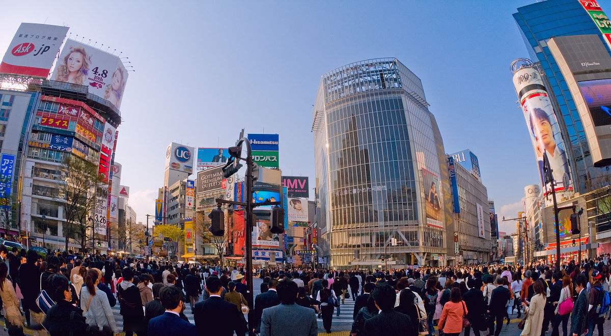 东京大学科研,东京大学科研实力