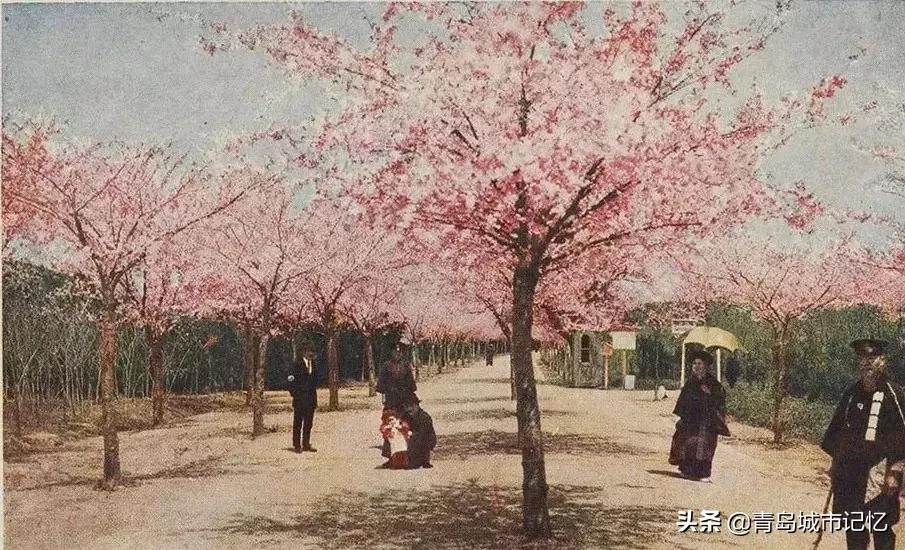 青岛岛城记忆,青岛记忆纪念馆