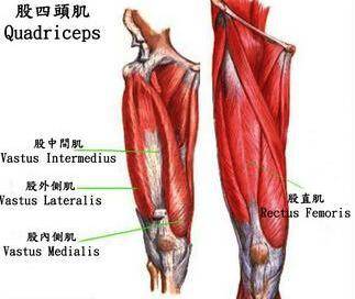 跳绳后膝盖后面的一整根筋疼,跳绳膝盖疼痛吃什么药