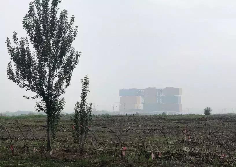 复华未来世界还能复活吗,复华未来世界有狼吗