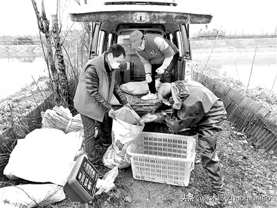 家风故事一封家书,家风家训不推卸责任