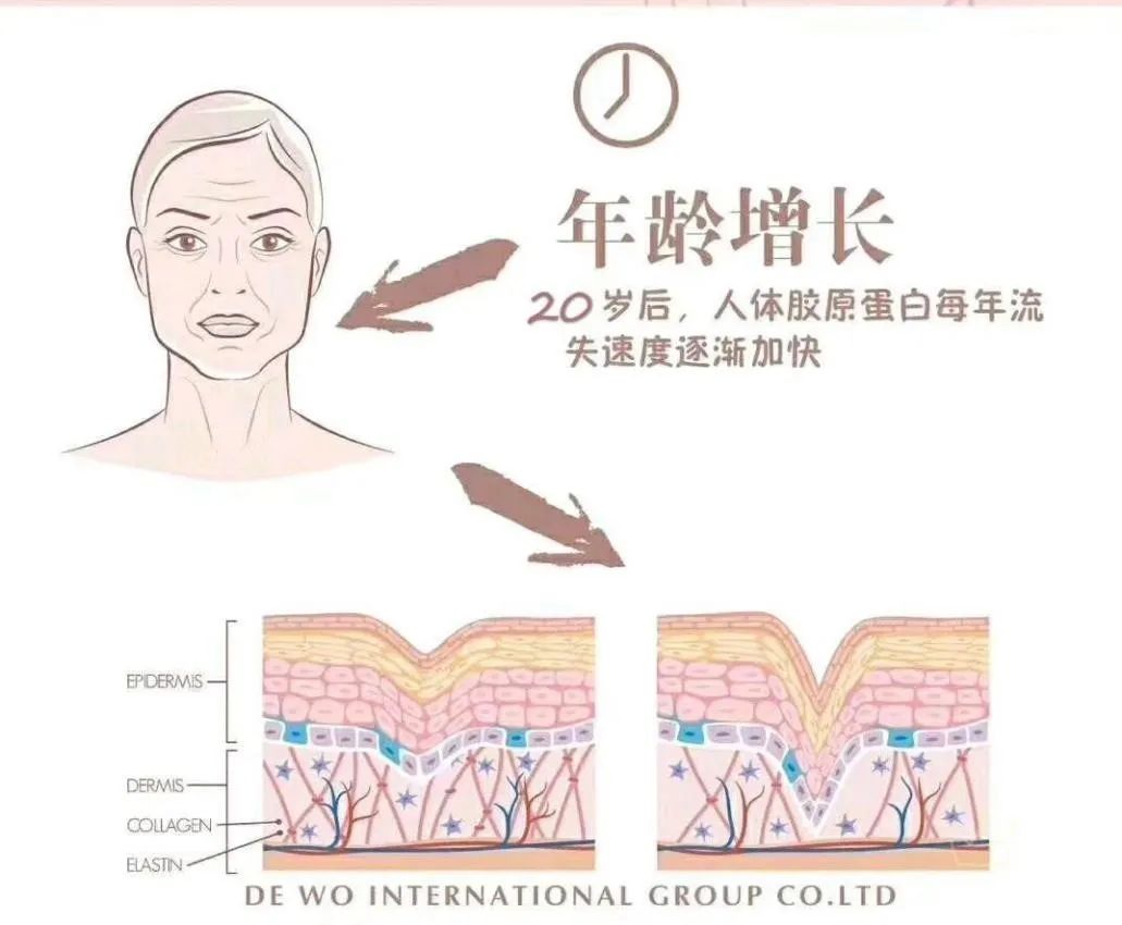 年轻人四大悲剧,当代年轻人的四大悲剧