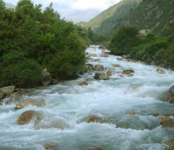 山东绿化最好的城市,山东省的绿化