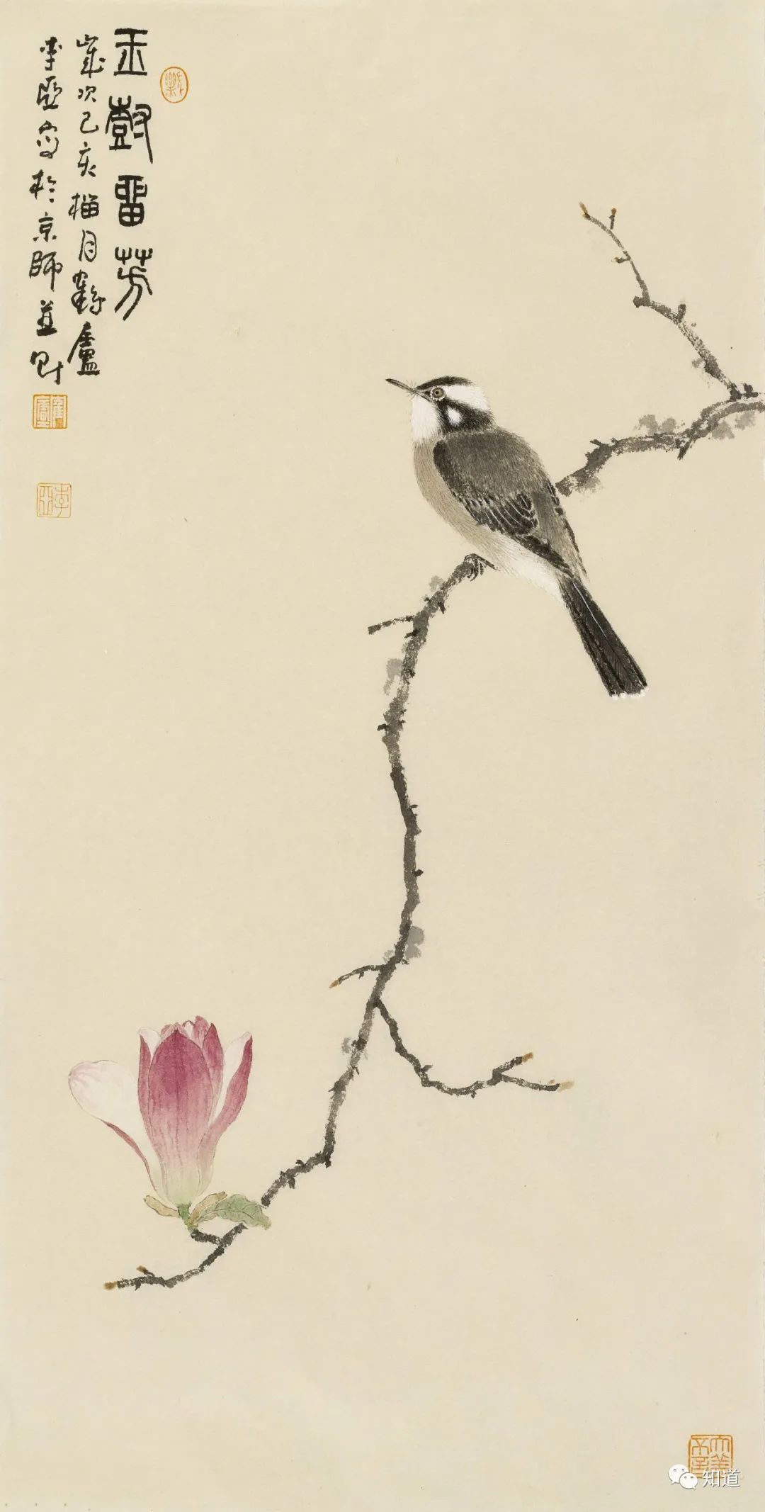 春天的脚步近了好像一切都醒来了,春天的脚步已经悄然而至