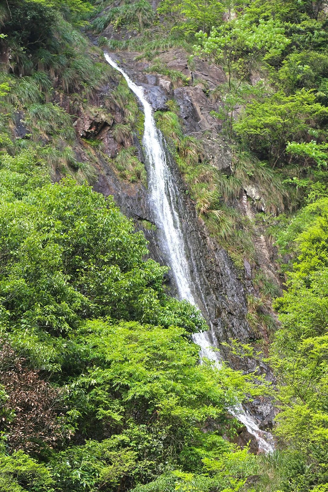 宁波避暑耍水胜地,宁波森林氧吧景区