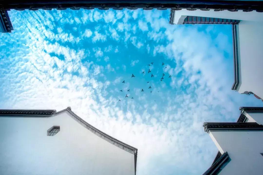 灵谷寺萤火虫7月,灵谷寺萤火虫目前还有吗