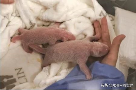 龙腾网最新评论,龙腾网网友评论