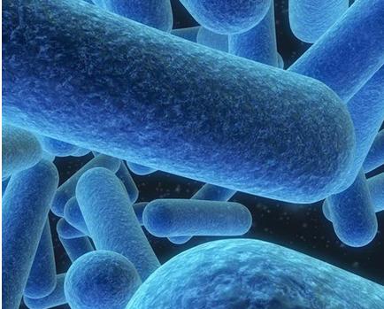 女性妇科病一般是男的导致的吗,女人得了妇科病老公也需要治疗吗