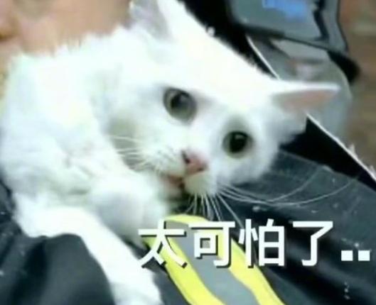 2019泰剧里的狗血毁三观剧情,情链泰剧第10集完整版