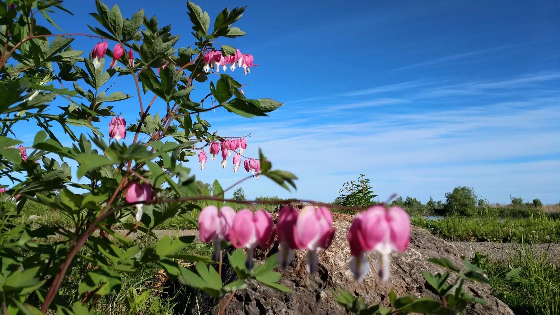 童年的回忆钢琴曲教学,童年的回忆