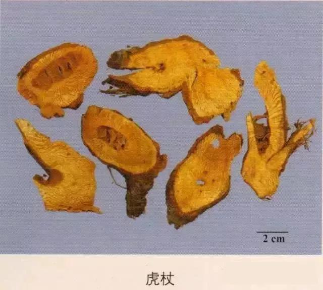 中药材图片大全大图带药名,200多味中药材图谱带图