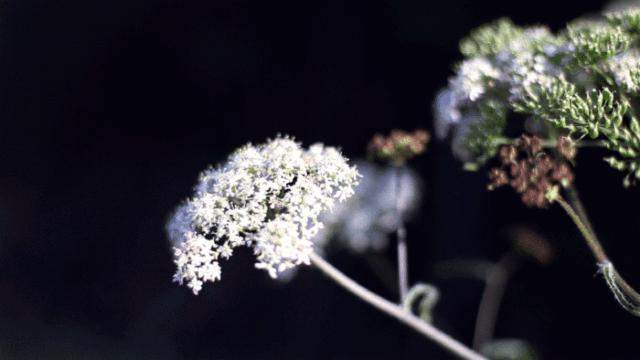 幼儿园公众号,想说爱你不容易