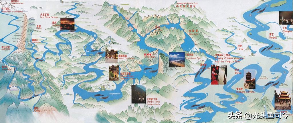 长江保护鱼类,有关长江鱼类资源保护