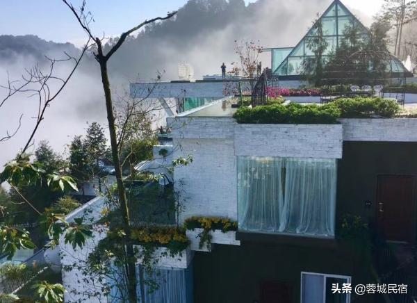 民宿鉴赏系列——雲中花嶺，花在云端，杜鹃花酒店