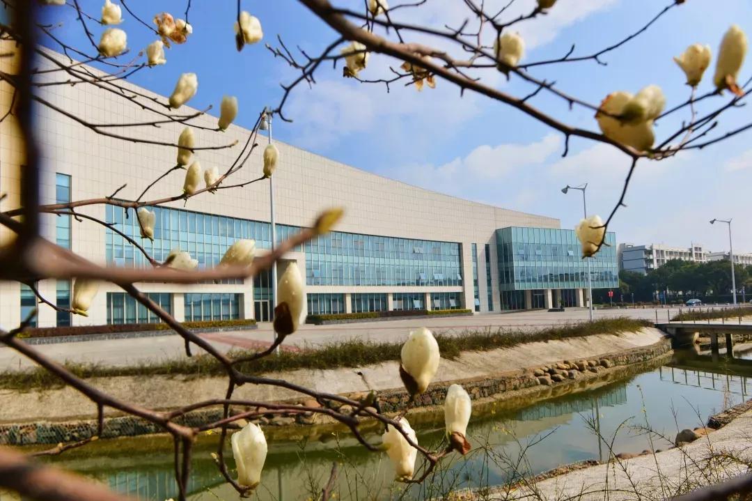 鑻忓窞澶у鏂囨瀛﹂櫌浠嬬粛,鑻忓窞澶у鏂囨瀛﹂櫌鍥剧墖