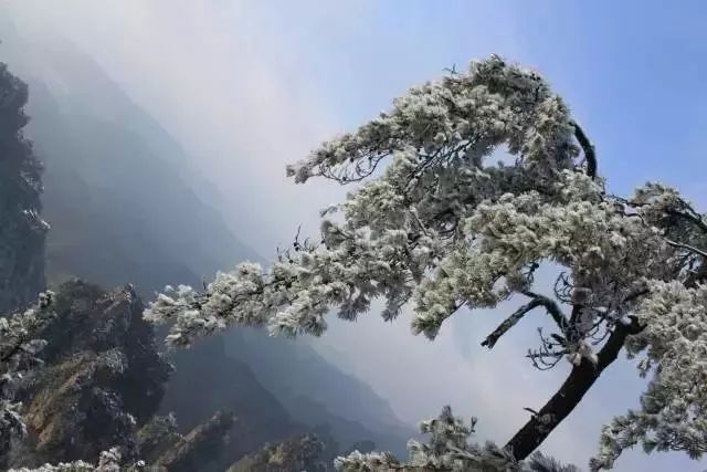 一下雪这些地方就美成了童话世界,有哪些下雪的地方值得去