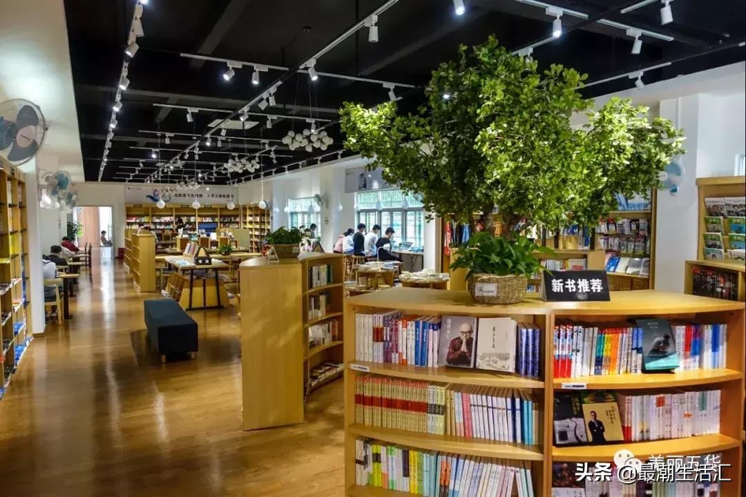 五华田家炳中学美术,五华田家炳中学简介