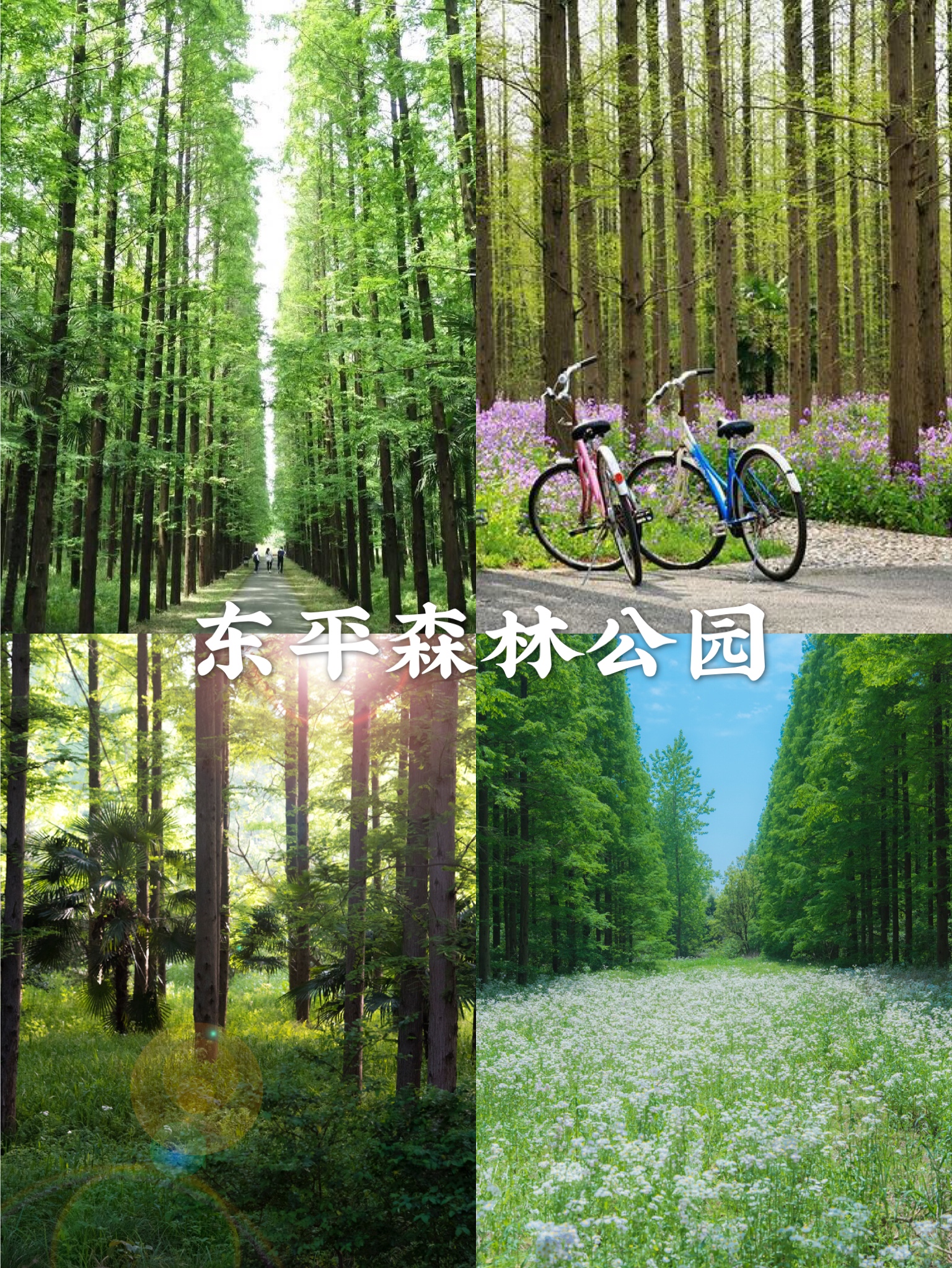 金秋上海最值得逛的公园,上海适合游玩的公园排行榜