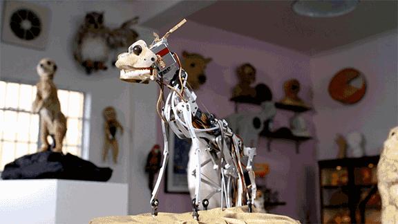 bbc纪录片揭露残忍人类对待动物,bbc动物纪录片造假事件