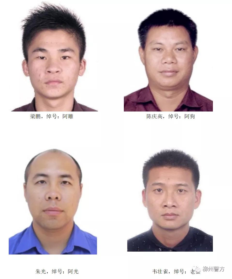 柳州警方打击黑恶势力,柳州市重大涉黑涉恶案