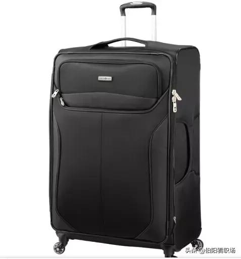 一只出差狗的日常,一只狗的自述经历