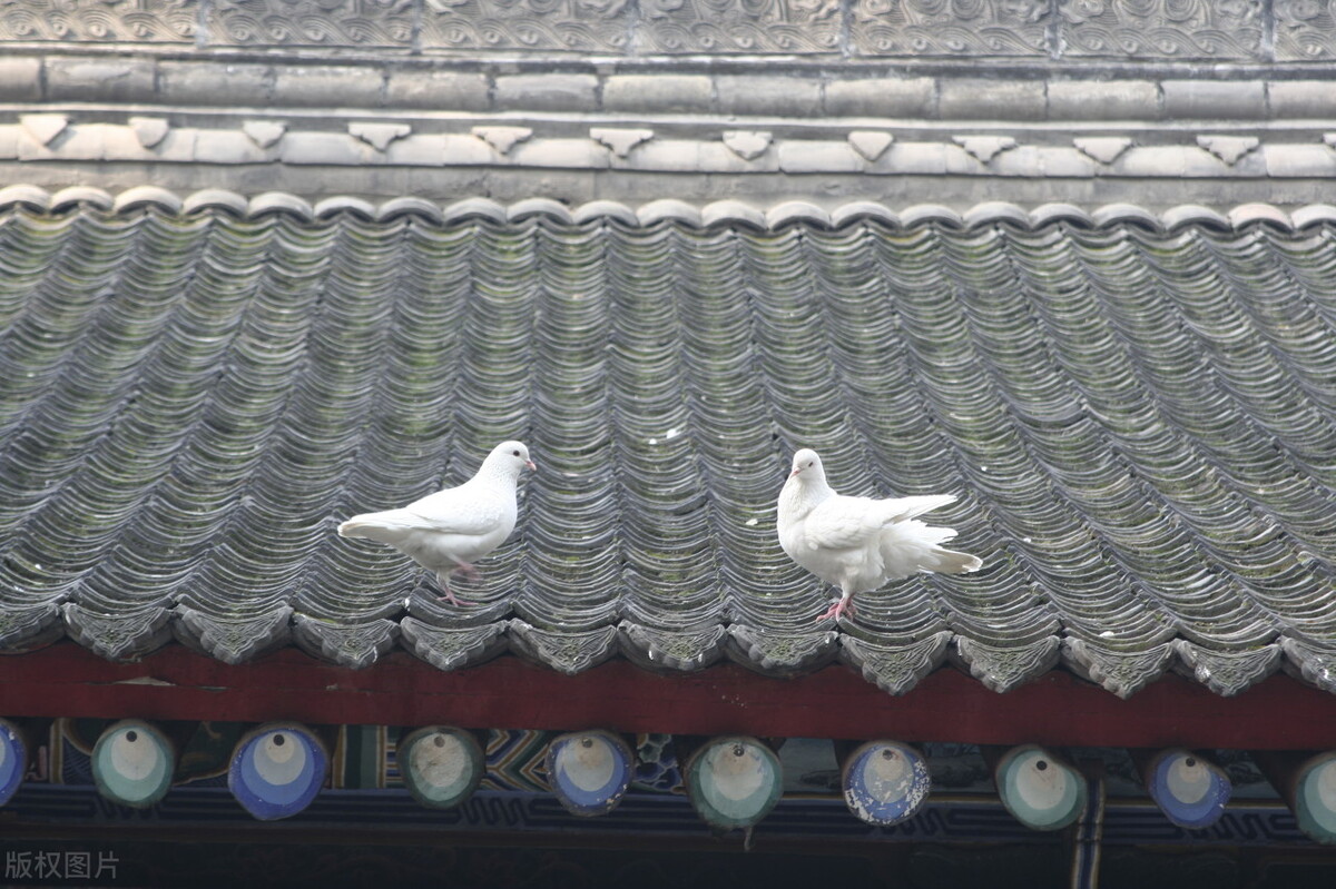 亲子游西安必去景点攻略,西安旅游攻略亲子三日游景点推荐