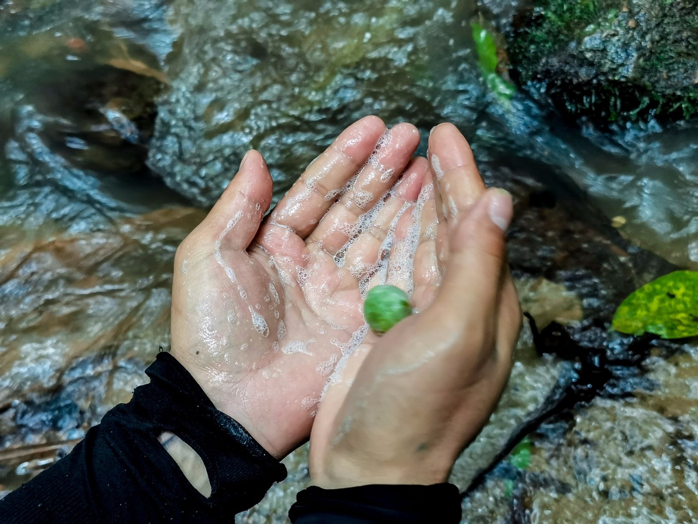 呀诺达雨林探险是什么,三亚呀诺达雨林正规吗