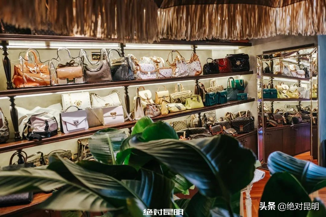 乘时光机回到2019年的科切拉,乘时光机穿梭