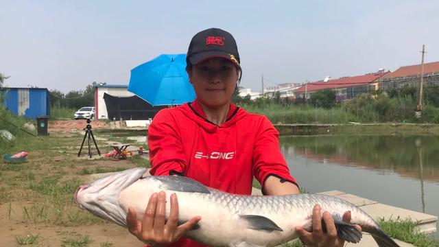 黑坑最好的解决办法,黑坑肥水塘钓鱼技巧