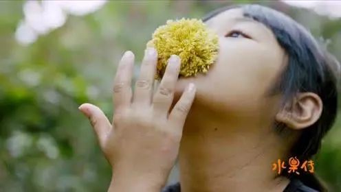 天然去雕饰的《水果传》，给你一场抵挡不住的水果饕餮