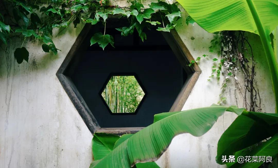 留园拙政园哪个景色好,留园和拙政园