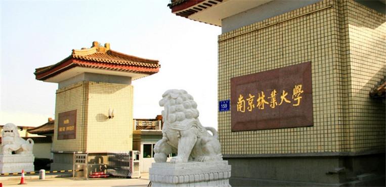 北京林业大学和南京林业大学,北京林业大学西南林业大学