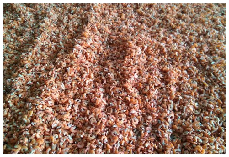 晒虾米,一场成就极鲜之味的狂欢