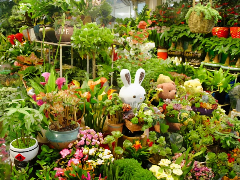 花市买花最忌讳什么,花市买花的寓意