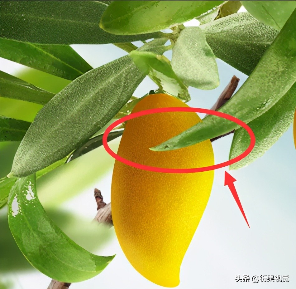 电商设计海报思路,电商海报设计技巧和思路