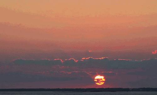 novo液体眼影试色好闪亮仙气十足,四色仙气紫色眼影盘