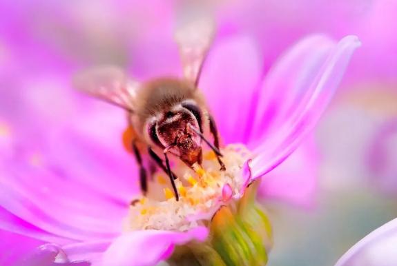 恒昌企业发展前景,北京恒昌集团10周年